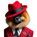 Ernie 'Dawg''s avatar